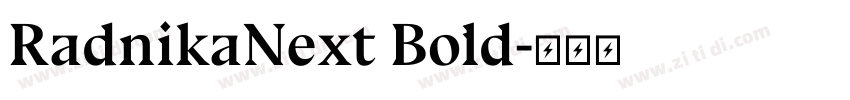 RadnikaNext Bold字体转换